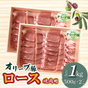 【ふるさと納税】香川県産 オリーブ豚 ロース 焼肉用 1000g