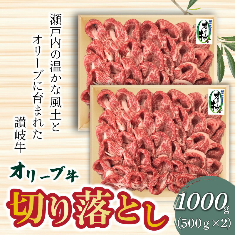 【ふるさと納税】オリーブ牛切り落とし500g×2P 讃岐牛 すき焼き しゃぶしゃぶ 焼肉 オレイン酸 冷凍 33000円