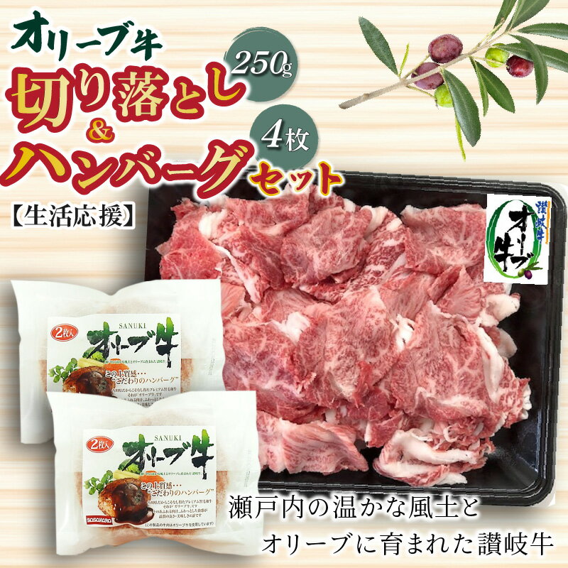 【ふるさと納税】生活応援 オリーブ牛 切り落とし 250g ハンバーグ 100g×4枚 ハンバーグソース 20g 4袋 セット 讃岐牛 肉 牛肉 赤味肉 冷凍 お土産 ギフト 香川県 三豊市 お取り寄せグルメ お取り寄せ 送料無料