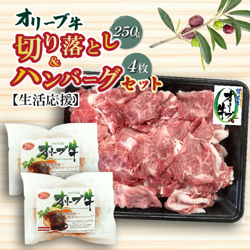 4位! 口コミ数「1件」評価「5」生活応援 オリーブ牛 切り落とし 250g ハンバーグ 100g×4枚 ハンバーグソース 20g 4袋 セット 讃岐牛 肉 牛肉 赤味肉 冷･･･ 