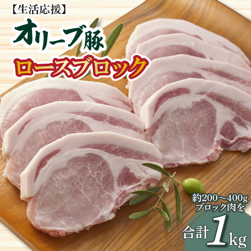 【ふるさと納税】生活応援 豚肉 オリーブ豚 ロースブロック ブロック 計 1kg オリジナル ブランド豚 冷凍 香川県 三豊市 お取り寄せ お取り寄せグルメ 送料無料