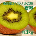 【ふるさと納税】香川オリジナルキウイフルーツ「香緑(こうりょ...