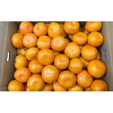 【ふるさと納税】小豆島みかん　10kg　【果物類・柑橘類・みかん・フルーツ】　お届け：2020年11月下旬〜2020年12月中旬