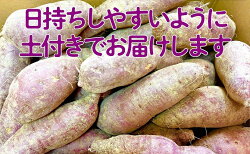 【ふるさと納税】小豆島のさつまいも【紅あずま約5kg】　【野菜・イモ・サツマイモ・さつまいも・紅あずま】　お届け：2021年11月中旬〜2021年12月上旬･･･ 画像1