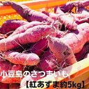 【ふるさと納税】小豆島のさつまいも【紅あずま約5kg】　【野菜・イモ・サツマイモ・さつまいも・紅あずま】　お届け：2021年11月中旬〜2021年12月上旬･･･