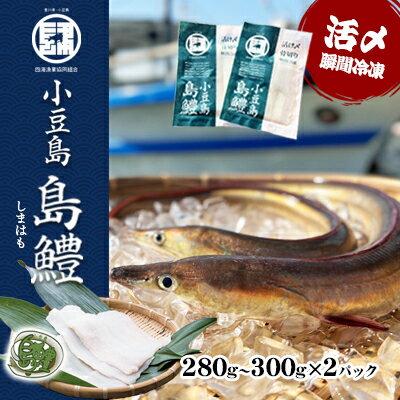 名称ハモ切身内容量280g～300g×2パック　包装形態：真空パック原材料鱧（小豆島沖）消費期限別途商品ラベルに記載賞味期限別途商品ラベルに記載保存方法18℃以下で保存製造者四海漁業行動組合香川県小豆郡土庄町伊喜末1-4事業者四海漁業協同組合配送方法冷凍配送備考※画像はイメージです。 ・ふるさと納税よくある質問はこちら ・寄附申込みのキャンセル、返礼品の変更・返品はできません。あらかじめご了承ください。【ふるさと納税】『小豆島島鱧』活け締め骨切り瞬間冷凍 新鮮 海の幸　【鱧・ハモ】 香川県小豆島の新たなブランド魚『小豆島 島鱧（しょうどしま しまはも）』（商標登録第5944381号）。 『小豆島 島鱧』とは、小豆島の北西部に位置する四海（しかい）漁業協同組合が独自の基準を設けて厳選したブランド鱧です。小豆島近海で漁獲される良質な鱧の中でも一定の基準を満たした高品質な鱧だけを管理蓄養しブランド化。鱧専用の畜養管理施設を設けて、高鮮度・高品質の鱧を出荷しています。 『小豆島 島鱧』の特徴 黄金に輝く体表と、純白の身で、淡泊ながらもしっかりとした味があります。 鱧には約3,500～3,600本もの骨があり、他の魚と異なり小骨が魚体全体にあるため「骨切り」をしないと食べられません。 『小豆島 島鱧』は、骨切り加工済みなので煩わしい下処理が不要。急速凍結することで、細胞の破壊を抑え、風味・食感・美味しさを保ったまま長期の冷凍保存が可能です。 湯引きはもちろん、お寿司やしゃぶしゃぶ、フライなど様々な料理に活用できます。淡白ながらもしっかりとした味わいの島鱧は、どんな料理とも相性抜群！ ぜひみなさんのご家庭でも『小豆島 島鱧』をお楽しみください。 寄附金の用途について 1.福祉に関する事業 2.教育に関する事業 3.環境に関する事業 4.地域振興に関する事業 5.自治体におまかせ 受領証明書及びワンストップ特例申請書のお届けについて 【受領証明書】入金確認後、注文内容確認画面の【注文者情報】に記載の住所にお送りいたします。 発送の時期は、入金確認後1～2週間程度を目途に、お礼の特産品とは別にお送りいたします。 【ワンストップ特例申請書】 ワンストップ特例をご利用される場合、1月10日までに申請書が下記住所まで届くように発送ください。 　〒380-0823　長野県長野市南千歳二丁目12番1号　長野セントラルビル705 　レッドホースコーポレーション株式会社　ふるさと納税サポートセンター　「土庄町　ふるさと納税」　宛 マイナンバーに関する添付書類に漏れのないようご注意ください。