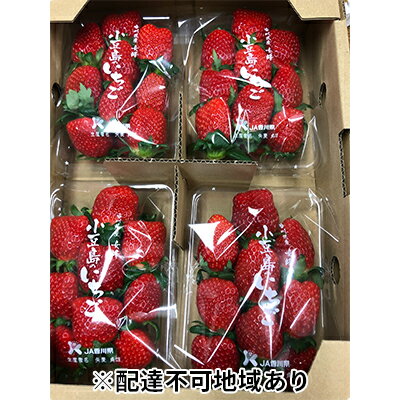 【2月からの発送】小豆島のいちご（女峰）1kg (230g×4パック入り)　【果物類・いちご・苺・イチゴ・女峰】　お届け：2024年2月上旬～2024年5月下旬