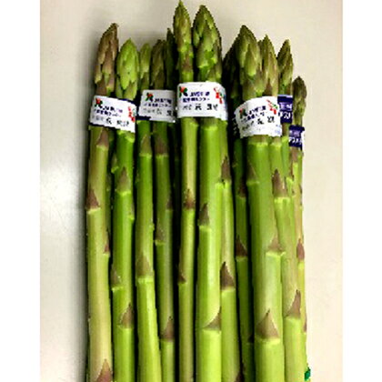 香川のアスパラ【さぬきのめざめ】春芽 約1kg　【アスパラガス・野菜】　お届け：2024年2月下旬～2024年5月下旬