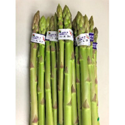 島育ち!アスパラ「さぬきのめざめ」夏芽1kg [アスパラガス・野菜・野菜セット] お届け:2024年6月上旬〜10月上旬