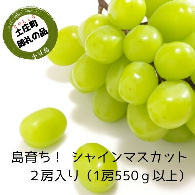 名称シャインマスカット内容量2房入り（1房550g以上）産地香川県土庄町事業者株式会社　五色青果配送方法冷蔵配送お届け時期2024年7月中旬～9月下旬頃※状況によってご希望通りお届けできない場合がございます。備考※画像はイメージです。 ※季節商品のため納期指定はできません。お申し込み順に順次発送致します。 ※賞味期間；冷蔵7日 ・ふるさと納税よくある質問はこちら ・寄附申込みのキャンセル、返礼品の変更・返品はできません。あらかじめご了承ください。【ふるさと納税】島育ち！ハウスシャインマスカット　2房入り 約1.1kg　【果物類・ぶどう・マスカット・フルーツ・果物】　お届け：2024年7月中旬～9月下旬頃※状況によってご希望通りお届けできない場合がございます。 新品種登録されて以来、大人気のシャインマスカット。種がなく皮ごと食べられる新食感のぶどうです。大粒でぱりっとした食感と、口いっぱいに広がる芳醇なマスカットの香り。種が無く、とにかく甘い。世代を問わず愛されています。 露地栽培にくらべ、天候に左右されないハウス栽培は早く収穫できるだけでなく、皮も薄く害虫が付きにくくなり、高品質なものが収穫できるのが特徴です。一足早く旬の味をお届けします。 香川県では、県オリジナル品種を中心とした果物で、県で認定した生産者が栽培し、糖度など一定の品質基準を満たしたものを「さぬき讃フルーツ」として推奨しています。 寄附金の用途について 1.福祉に関する事業 2.教育に関する事業 3.環境に関する事業 4.地域振興に関する事業 5.自治体におまかせ 受領証明書及びワンストップ特例申請書のお届けについて 【受領証明書】入金確認後、注文内容確認画面の【注文者情報】に記載の住所にお送りいたします。 発送の時期は、入金確認後1～2週間程度を目途に、お礼の特産品とは別にお送りいたします。 【ワンストップ特例申請書】 ワンストップ特例をご利用される場合、1月10日までに申請書が下記住所まで届くように発送ください。 　〒380-0823　長野県長野市南千歳二丁目12番1号　長野セントラルビル705 　レッドホースコーポレーション株式会社　ふるさと納税サポートセンター　「土庄町　ふるさと納税」　宛 マイナンバーに関する添付書類に漏れのないようご注意ください。