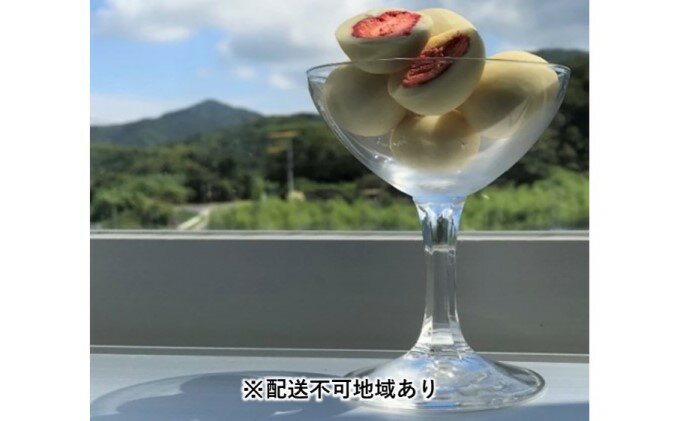 【ふるさと納税】フリーズドライいちごホワイトチョコレート（3kg）【配送不可：北海道・沖縄・離島エリア】　【加工食品・果物類・いちご・苺・イチゴ・スイーツ・お菓子・チョコレート・デザート・洋菓子】