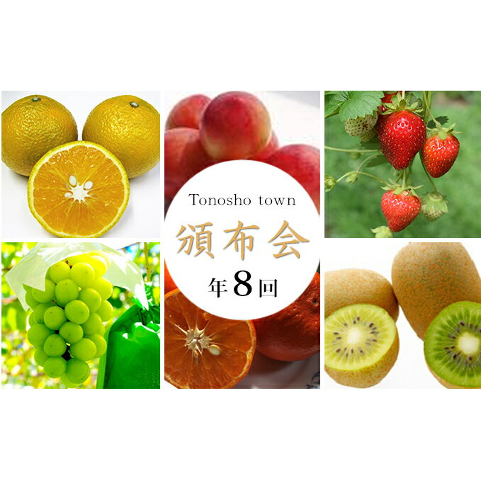 【ふるさと納税】【8回お届け】土庄町 季節の果物...の商品画像