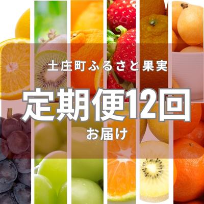 土庄町 ふるさと果実 12回定期便　【定期便・果物類・フルーツ】