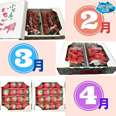【 小豆島 】「瀬戸・たかまつネットワーク」いちご食べ比べ3ヵ月定期便 果物類 苺 イチゴ フルーツ 3カ月 3回 お届け：2月より毎月1回配送