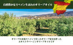 【ふるさと納税】エキストラバージンオリーブオイル　初秋　500ml　1本　【食用油/オリーブオイル・食用・エキストラバージン】 画像2
