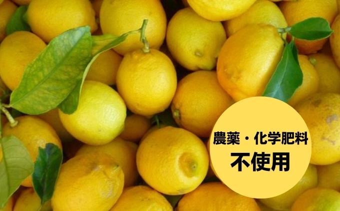 【ふるさと納税】豊島レモンアイスクリーム 2L...の紹介画像3