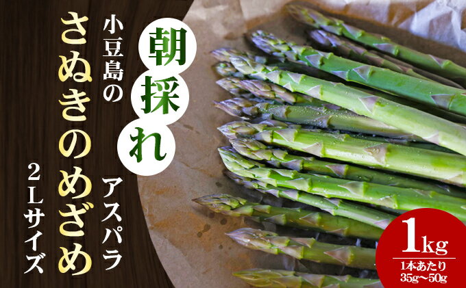 【ふるさと納税】【先行予約】小豆島の朝採れアスパラ 『さぬきのめざめ』2Lサイズ1kg　配送期間：2月中旬～5月中旬まで　【 アスパラガス 野菜 朝採れ 香川県 小豆島 土庄町 新鮮 旬 春野菜 】　お届け：2024年2月中旬～2024年5月中旬まで