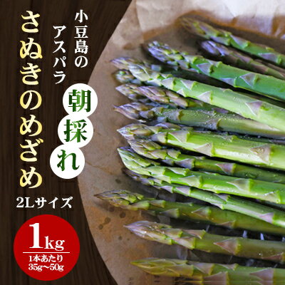 [先行予約]小豆島の朝採れアスパラ 『さぬきのめざめ』2Lサイズ1kg 配送期間:2月中旬〜5月中旬まで [ アスパラガス 野菜 朝採れ 香川県 小豆島 土庄町 新鮮 旬 春野菜 ] お届け:2024年2月中旬〜2024年5月中旬まで