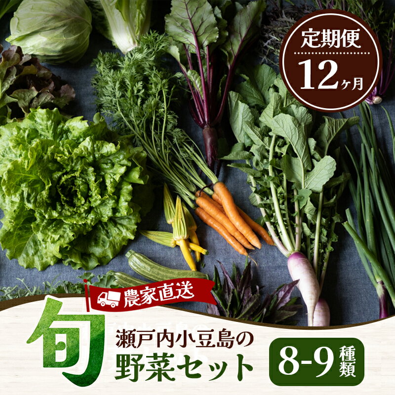 【ふるさと納税】【 小豆島 】瀬戸内小豆島の旬野菜セット 農家直送 年12回お届け 野菜詰め合わせ 食材 オーガニック農園 新鮮野菜 旬の野菜 朝収穫 当日発送 採れたて