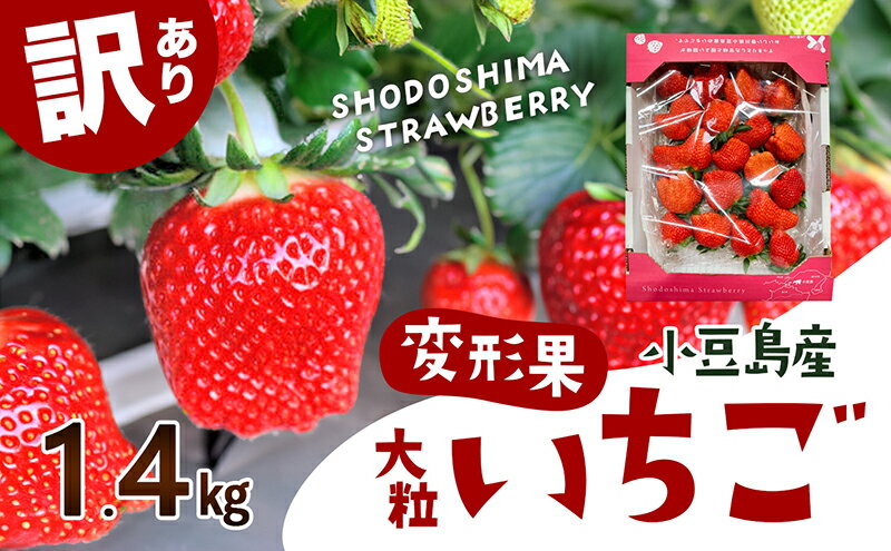 【ふるさと納税】【配送エリア限定商品】＜訳あり・大粒＞小豆島産　変形果いちご　1.4kg　【果物類・いちご・苺・イチゴ】　お届け：2024年1月末～2月上旬頃