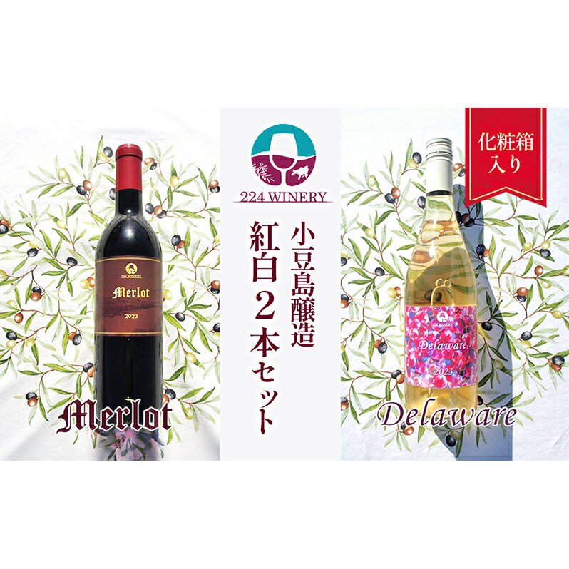 【ふるさと納税】小豆島醸造【紅白2本セット】化粧箱入り　【 お酒 ワインセット 贈り物 白ワイン フルーティー 辛口 果実味 メルロー 赤ワイン 上品な味わい 】