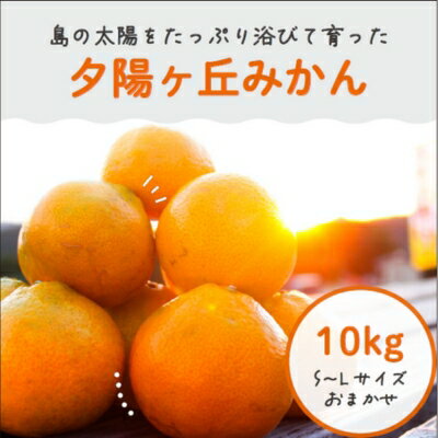 7位! 口コミ数「0件」評価「0」小豆島夕陽ヶ丘みかん 10kg S～Lサイズ おまかせ　【 果物 国産 デザート おやつ 旬の果物 旬のフルーツ 安心 安全 早生みかん 柑･･･ 