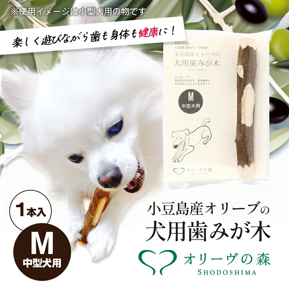 小豆島産オリーブの犬用はみが木 M(中型犬用) 1本入 [ 雑貨 ペット用品 犬用 ワンちゃん用 愛犬用 歯磨き オーラルケア 歯垢 臭い 口臭予防 自然素材 ]