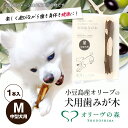 小豆島産オリーブの犬用はみが木　M(中型犬用)　1本入　