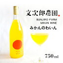 【ふるさと納税】【 小豆島 】文次郎農園 小豆島100% みかんのわいん 750ml お酒 酒 ワイン みかん 蜜柑 ミカン 温州みかん 香川 香川県 土庄 土庄町(4)