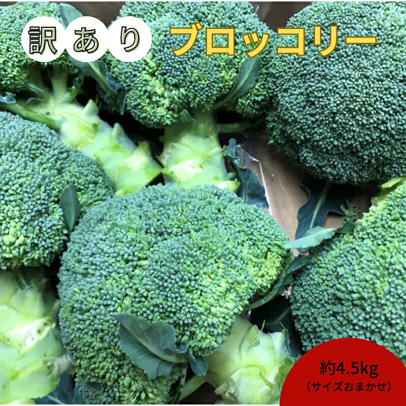 訳ありブロッコリー 約4.5kg(サイズおまかせ) お届け:11月下旬から5月上旬