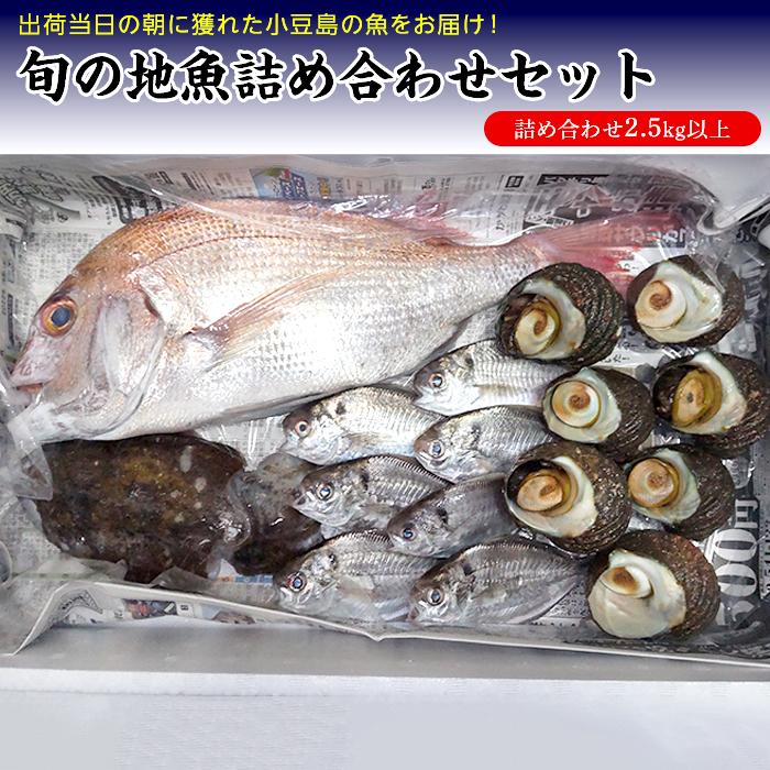 小豆島から直送!朝獲れ鮮魚 旬の地魚詰め合わせ 2.5kg以上