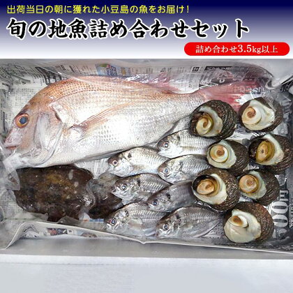 小豆島から直送！朝獲れ鮮魚 旬の地魚詰め合わせ 3.5kg以上【7月以降発送】