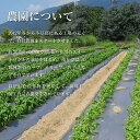 香川県小豆島町の画像3