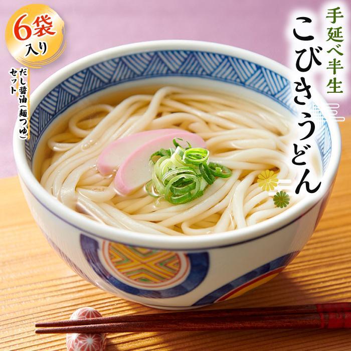 【ふるさと納税】【父の日ギフト】手延べ半生こびきうどん 6袋入り だし醤油(麺つゆ)セット（贈答用・熨斗つき）