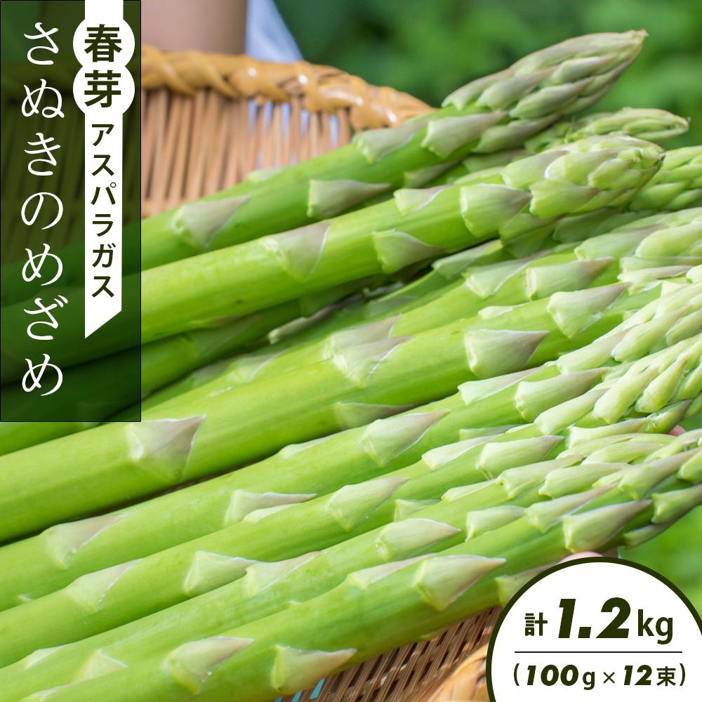 【ふるさと納税】春芽アスパラガス「さぬきのめざめ」(100g×12束)