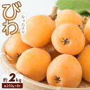 【ふるさと納税】【さぬき讃フルーツ】びわ なつたより 約1kg(約250g×4パック)×2箱 | びわ フルーツ 果物 くだもの 食品 人気 おすすめ 送料無料
