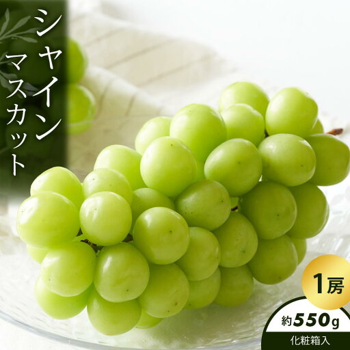 【ふるさと納税】シャインマスカット 1房化粧箱入り (約550g) | マスカット シャインマスカット フルーツ 果物 くだもの 食品 人気 おすすめ 送料無料 【ふるさと納税】シャインマスカット 1房化粧箱入り (約550g) | マスカット シャインマスカット フルーツ 果物 くだもの 食品 人気 おすすめ 送料無料
