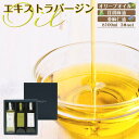【ふるさと納税】エキストラバージン(EXV)オリーブオイル・荏胡麻油・亜麻仁油100ml3本入 | 油 あぶら 食品 加工食品 人気 おすすめ 送料無料