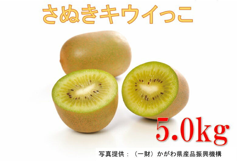 36位! 口コミ数「0件」評価「0」1030　さぬきキウイっこ5.0kg【香川県共通返礼品】