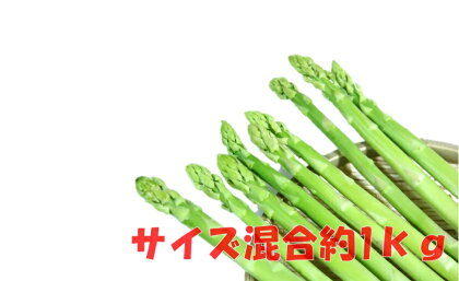 185-2　ご家庭用アスパラガス「さぬきのめざめ」（セミロング）夏芽　サイズ混合約1kg