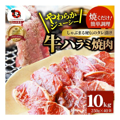 1132-7　やわらか牛ハラミ焼肉 秘伝のタレ漬け10kg(250g×40P)