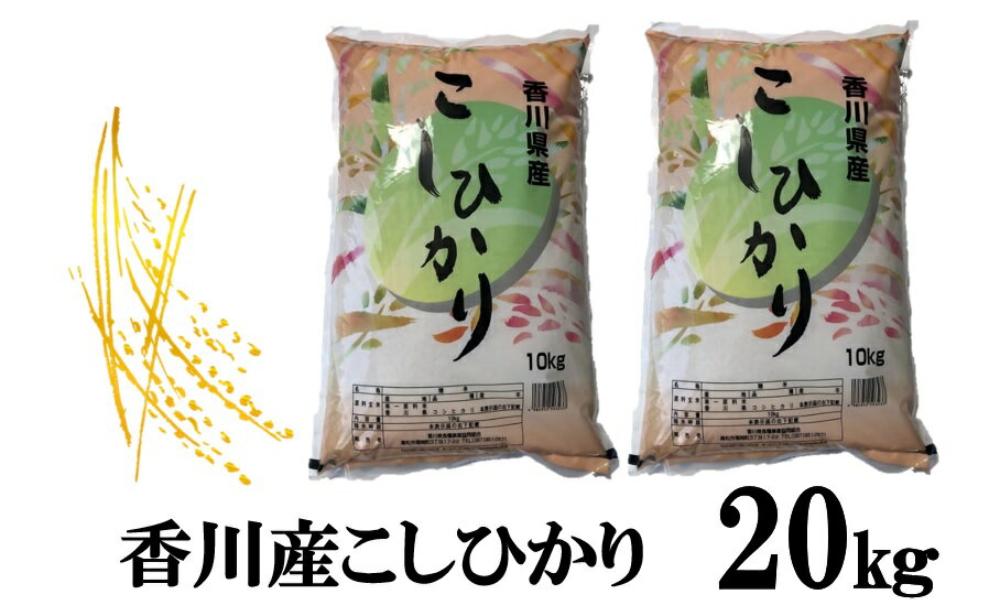 【ふるさと納税】896　令和5年産香川県産こしひかり　10kg×2　紙袋配送