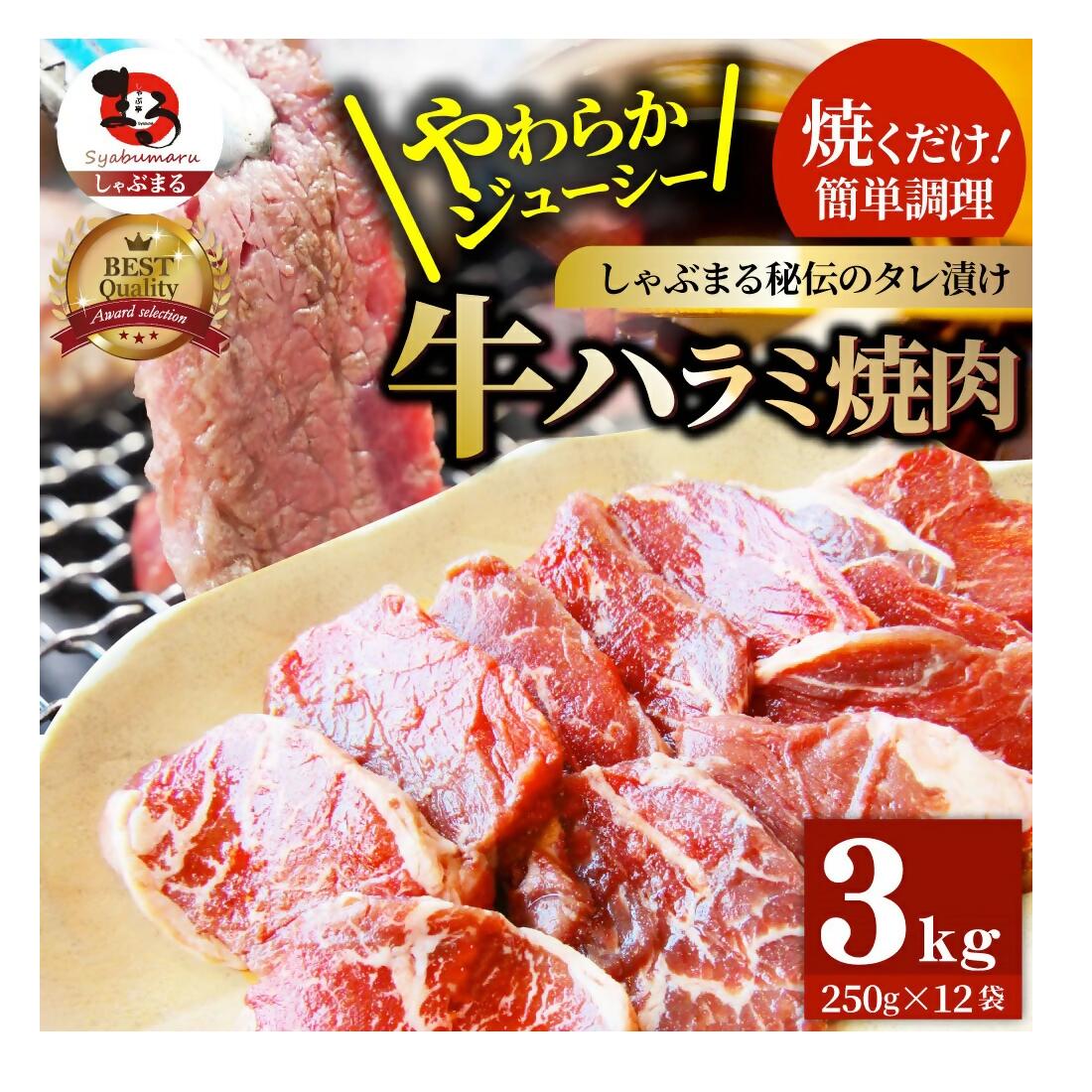 一口食べた瞬間に旨味が広がるたっぷりの肉感。 一頭から数%しかとれない希少部位ハラミ。 贅沢厚切りの秘伝のタレ漬け。 ジューシーな旨味溢れる牛ハラミを便利な小分けでお届けします。 商品説明 名称 アメリカ産牛ハラミ焼肉 加工地 香川県三木町 数量 250g×12 賞味期限 製造日から90日 アレルギー 牛肉・大豆・ごま・りんご &nbsp; &nbsp; 地場産品類型番号 3. 当該地方団体の区域内において返礼品等の製造、加工その他の工程のうち主要な部分を 行うことにより相応の付加価値が生じているものであること村の区域内において前各号のいずれかに該当するものを当該都道府県及び当該市区町 村の共通の返礼品等とするもの 地場産品に該当する理由 町内の工場において、仕入れから製品化までの全ての工程の製造、加工を行うことにより相応の付加価値が生じているもの（区域外産の原材料を用いて、町内で仕入れ・精肉工程・タレ漬け工程を行い、梱包したもの。） ・ふるさと納税よくある質問は こちら ・寄付申込みのキャンセル、返礼品の変更・返品はできません。あらかじめご了承ください。「ふるさと納税」寄付金は、下記の事業を推進する資金として活用してまいります。 寄付を希望される皆さまの想いでお選びください。 (2)　少子高齢化対策に関する事業（こども園施設整備事業等） (3)　教育環境整備及び青少年の健全育成に関する事業（学校給食施設整備事業等） (6)　観光資源の開発及び伝統行事の伝承に関する事業 (7)　農山村振興対策に関する事業 (5)　スポーツ、芸術及び文化の振興に関する事業 (1)　自然環境及び地域景観の保全並びに活用に関する事業 (4)　安心・安全で住みよいまちづくりに関する事業 (8)　その他目的達成のために町長が必要と認める事業 入金確認後、注文内容確認画面の【注文者情報】に記載の住所にお送りいたします。 発送の時期は、寄付確認後2ヵ月以内を目途に、お礼の特産品とは別にお送りいたします。