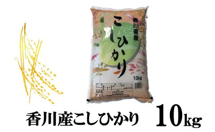 996　令和5年産香川県産こしひかり　10kg×1　紙袋配送