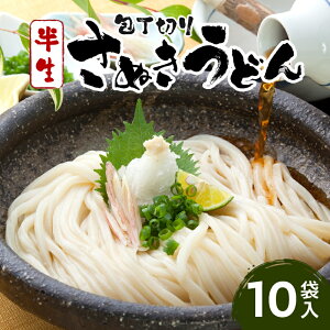 【ふるさと納税】包丁切りさぬきうどん半生10袋入 うどん つゆ おすすめ 人気 うどんセット セット 半生うどん 簡単調理 コシ アレンジ 料理 出汁 お取り寄せ かけうどん 釜揚げうどん グルメ 小分け ギフト 時短料理 アレンジ 香川県 三木町 送料無料