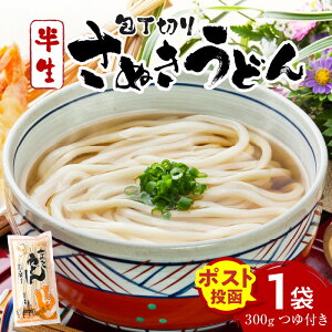 【ふるさと納税】包丁切りさぬきうどん 半生 300g(つゆ付き)うどん つゆ だし セット おすすめ 人気 名物 簡単調理 お試し アレンジ 料理 生活応援 グルメ お取り寄せ うどんセット 半生うどん 2000円 かけうどん ギフト 期間限定 小分け 出汁付き 香川県 三木町 送料無料