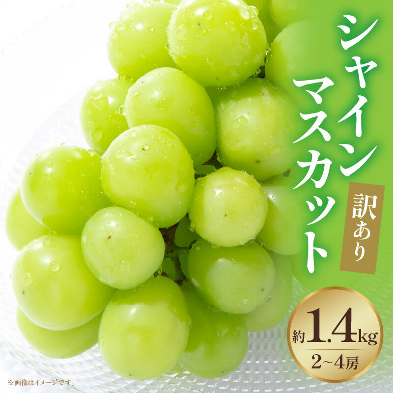 【ふるさと納税】【訳あり】シャインマスカット 約1.4kg入り 2~4房 シャイン マスカット ぶどう 果物 果実 果汁 人気 おすすめ 贈答 ご褒美 贈り物 フルーツ デザート スイーツ 種無し 種無しシャインマスカット 不揃い キズ 皮ごとシャインマスカット 三木町 送料無料