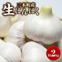 【ふるさと納税】三木町産 生にんにく 約2kg にんにく ガーリック 肉厚 野菜 食材 国産 国産にんにく 薬味 調味 スタミナ 料理 贈答 贈り物 ギフト お...