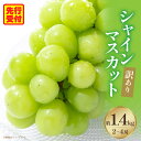 【ふるさと納税】【訳あり】シャインマスカット 約1.4kg入り 2〜4房 シャイン マスカット ぶどう 果物 果実 果汁 人気 おすすめ 贈答 ご褒美 贈り物 ...