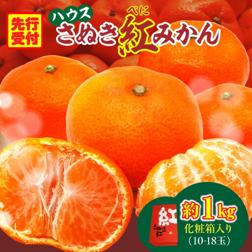 【ふるさと納税】ハウスさぬき紅みかん 約1kg10-18玉(化粧箱入り)【香川県共通返礼品】みかん オレンジ 柑橘 柑橘系 果物 フルーツ 青果 デザート スイーツ グルメ おすすめ 贈答 贈り物 贈答用 ギフト プレゼント 化粧箱入り 特産品 小原早生みかん 特産 香川県 三木町 【ふるさと納税】ハウスさぬき紅みかん 約1kg10-18玉(化粧箱入り)【香川県共通返礼品】みかん オレンジ 柑橘 柑橘系 果物 フルーツ 青果 デザート スイーツ グルメ おすすめ 贈答 贈り物 贈答用 ギフト プレゼント 化粧箱入り 特産品 小原早生みかん 特産 香川県 三木町